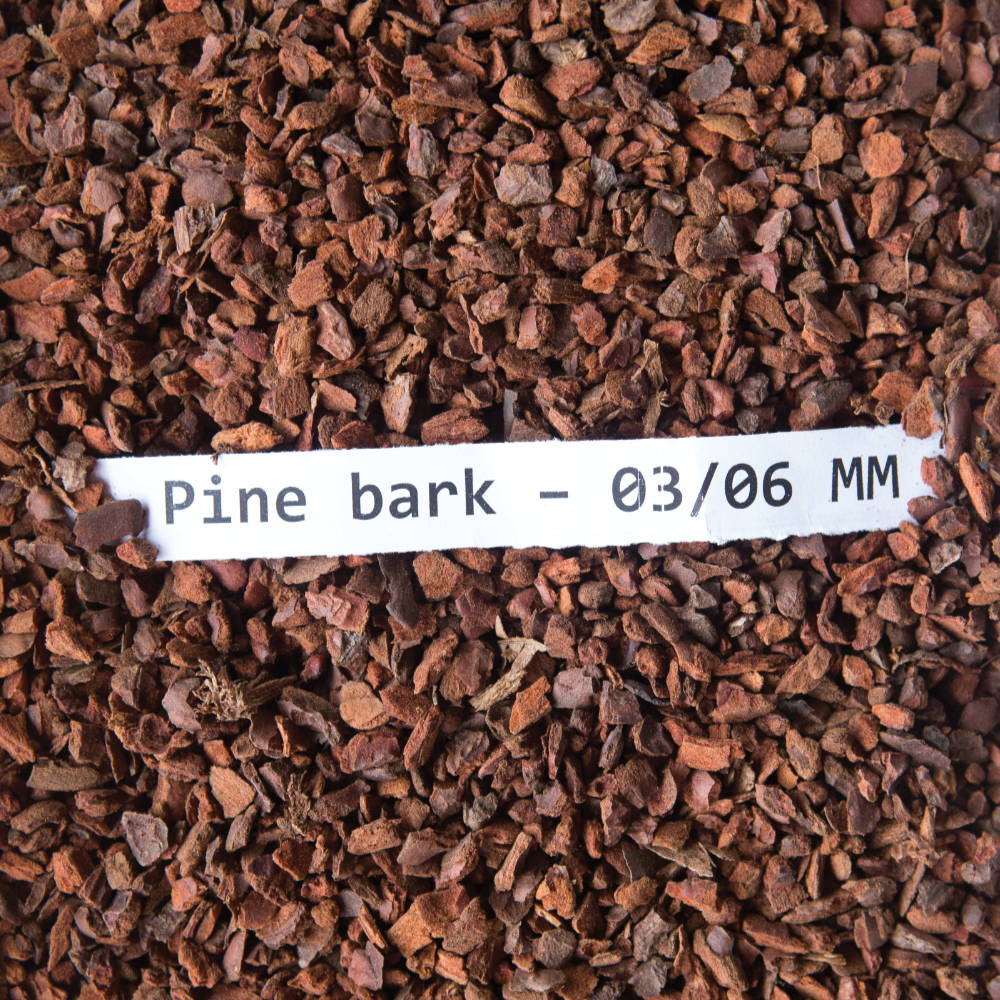 pine bark 03 06