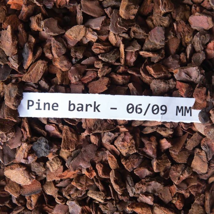 pine bark 06 09