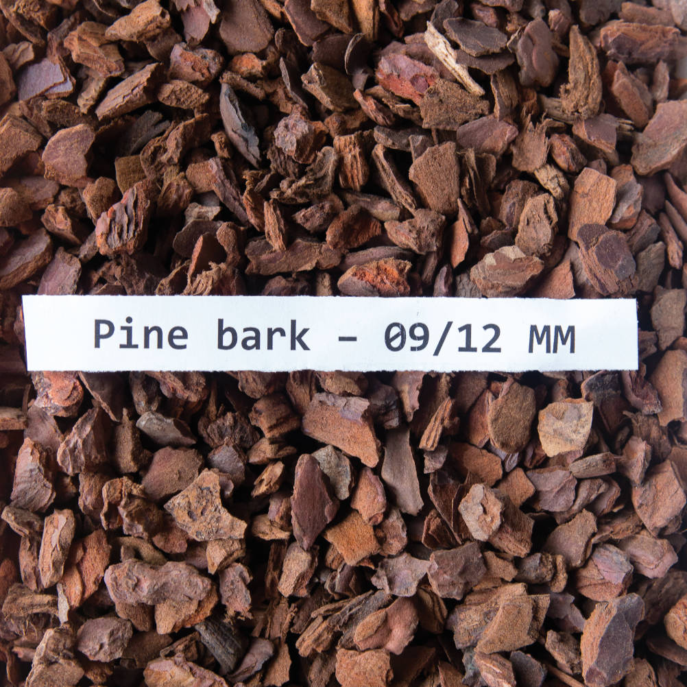 pine bark 09 12